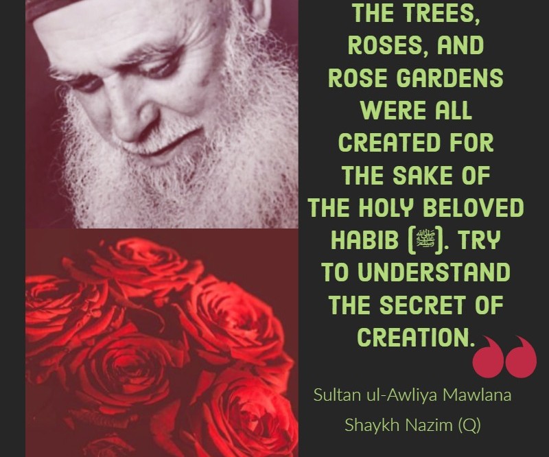 Sultan ul Awliya Mawlana Sheikh Nazim, Quotes, roses, Muharram, Sohbat
